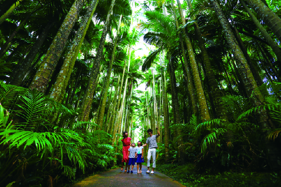 東南植物楽園